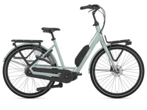 Gazelle Bloom C7 Light Olive Glans DAMES