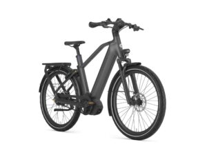 Gazelle Eclipse C380 HMB Anthracite Grey Mat Heren