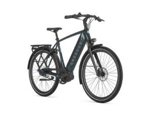 Gazelle Ultimate C8+ Pine Green Glans HEREN