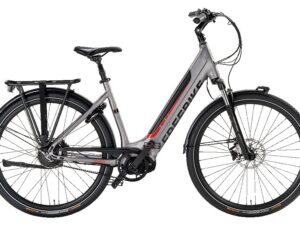 Freebike Brooklyn 2.0 80Nm Gates Enviolo Matt Antra Dames