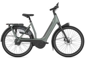 Gazelle Avignon C380+ Twilight Green Mat Dames