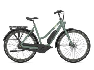 Gazelle Esprit C7 Moss Green Mat Dames