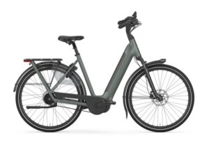 Gazelle Arroyo C5 First Twilight Green (matt) Dames