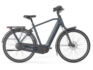Gazelle Arroyo C8 HmB elite RS Between Blue Mat Heren